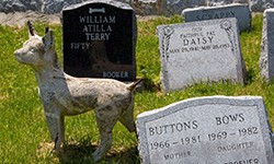 Article on Pet Funeral Rip Offs