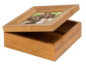 Option 5 Photo Casket or Tribute Casket