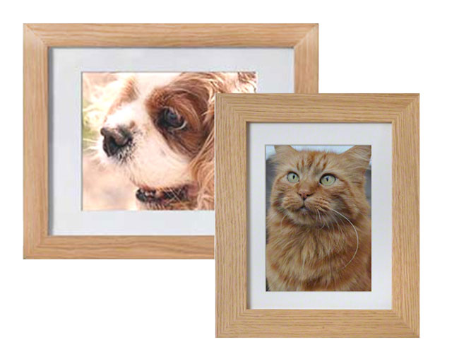 Option 9 - picture frame