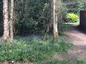 entrance to green burial and communal ashes burial area