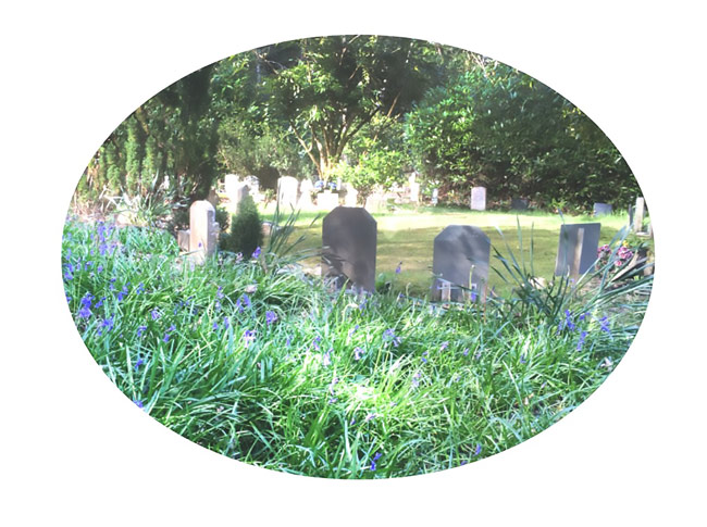 Gravestones in a lush green area