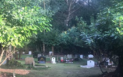 The Pet Cemetery is 50 Years Old