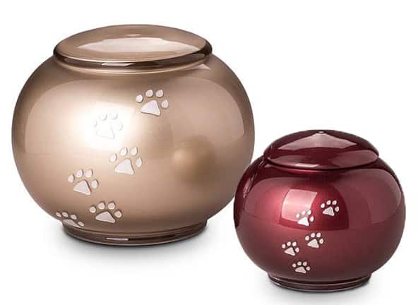 Memorial Gallery Customizable Classic Gray Pawprint Brass Pet Cremation Urn 