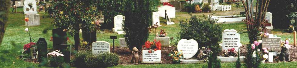 Ashes Burial Plots in the Pet Cemetery