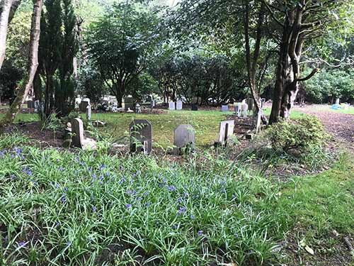 Ashes burial area in spring with bluebells