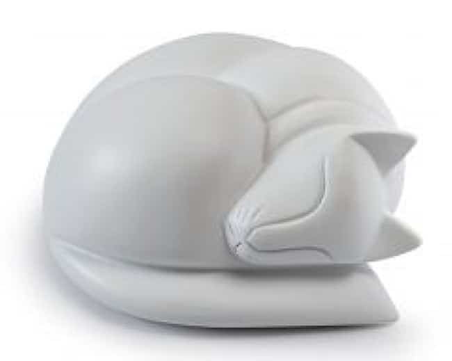 option 18 resin sleeping cat urn